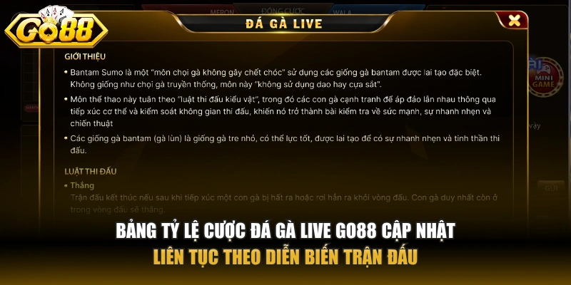 Đá gà live GO88 – Trải nghiệm cá cược trực tiếp độc đáo nhất Bảng tỷ lệ cược đá gà live GO88 cập nhật liên tục theo diễn biến trận đấu