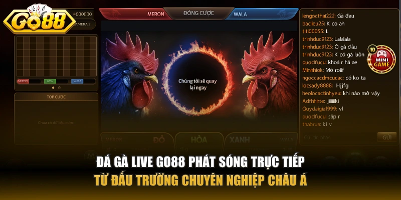 Đá gà live GO88 – Trải nghiệm cá cược trực tiếp độc đáo nhất Đá gà live GO88 phát sóng trực tiếp từ đấu trường chuyên nghiệp Châu Á