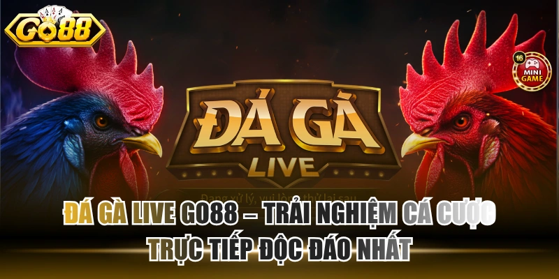 Đá gà live GO88 – Trải nghiệm cá cược trực tiếp độc đáo nhất Đá gà live GO88